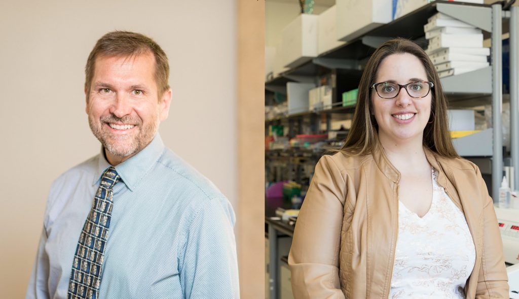 Fluid flow in the brain: Sorting the good and the bad | Virginia Tech